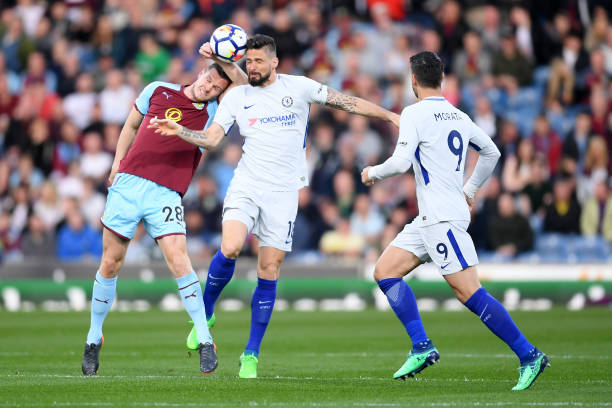 他们不仅在 他们不仅在