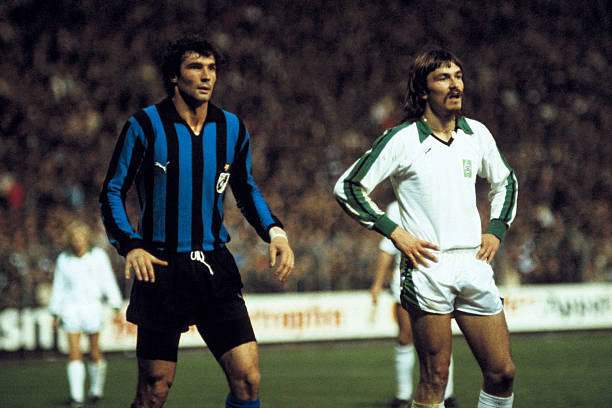 许只限于替 许只限于替