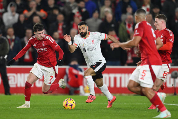 纳乔双星齐 纳乔双星齐